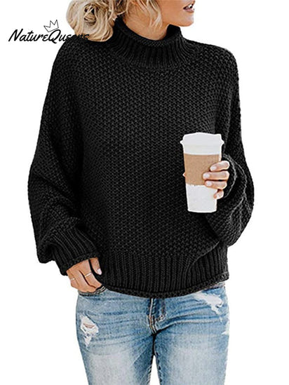 Thick Line Turtleneck Pullover Sweater