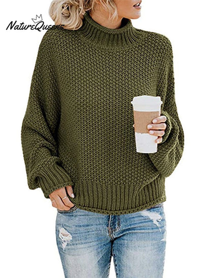 Thick Line Turtleneck Pullover Sweater